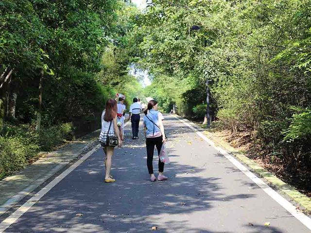 12_だらだら坂道.jpg