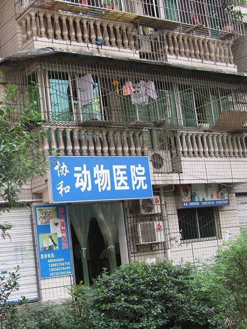 2_下町の犬猫病院.jpg